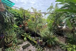 Pasir Ris Green (D18), Semi-Detached #471699791